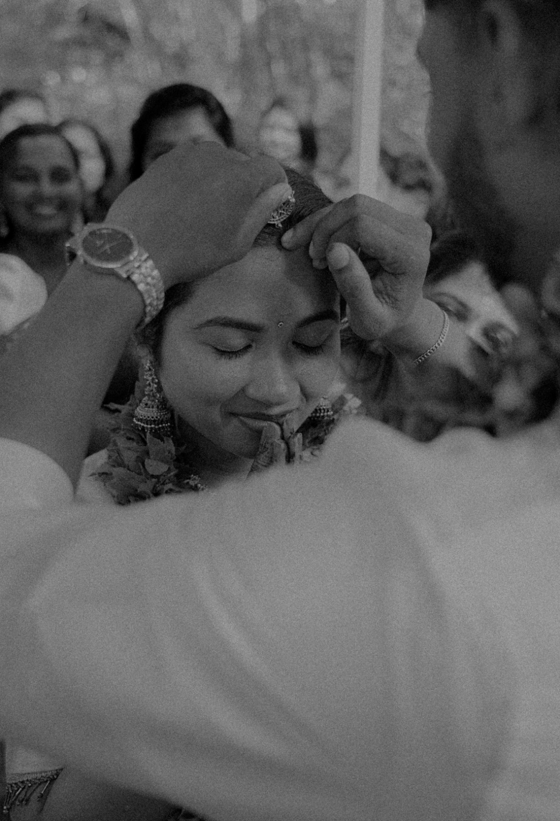 a forest after an apocalypse